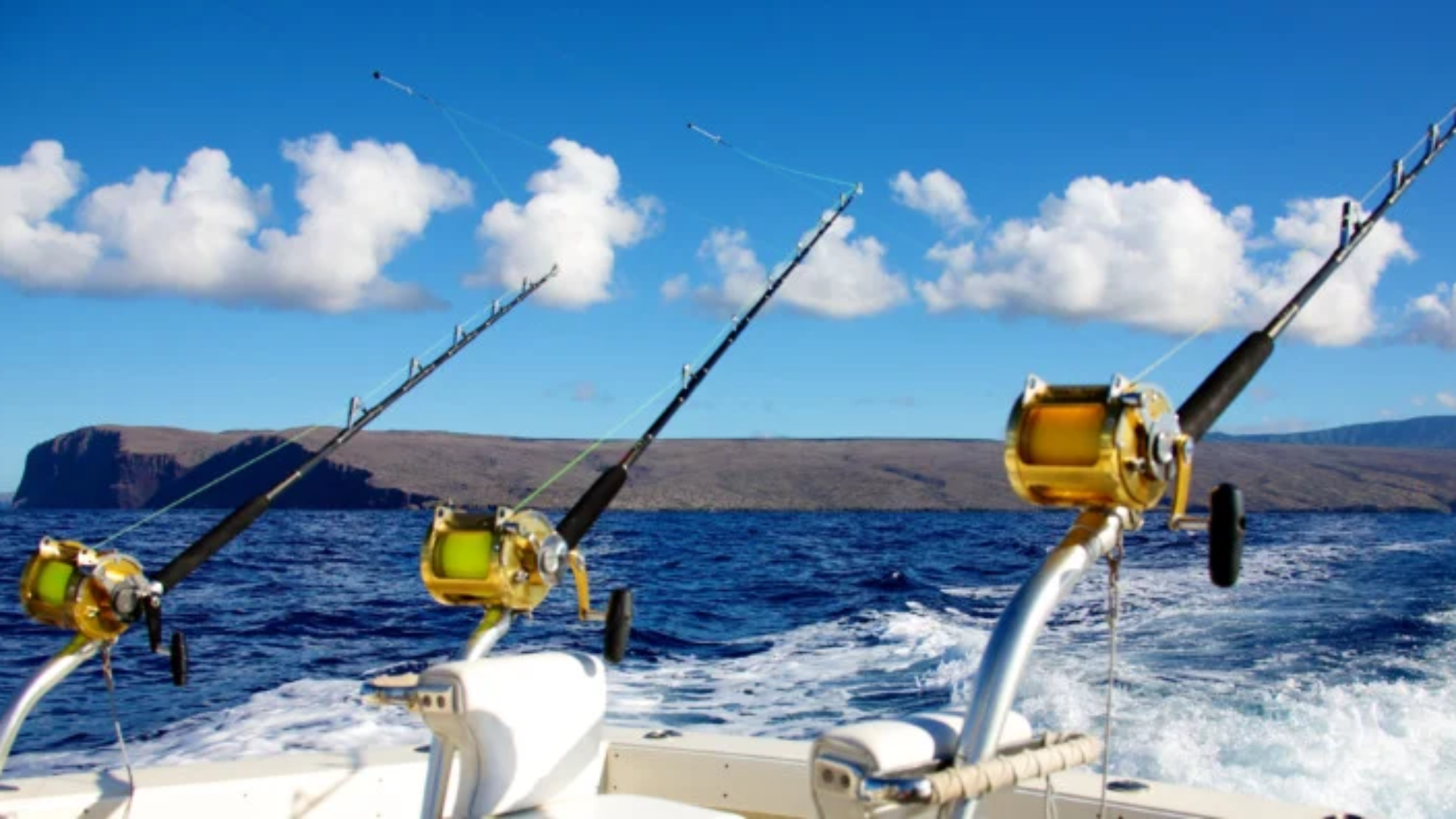 Find the best fishing spots in the world